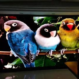 超薄い導かれたビデオ ウォール・ディスプレイのフル カラーのビデオ掲示板P1.667 P1.25屋内Rgb