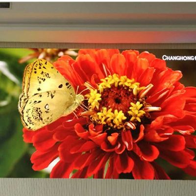 屋内フル カラーのLED表示容易な設置展示会のための小さいピクセル ピッチ2mm