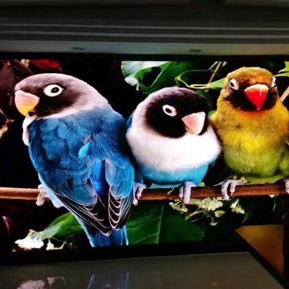 超薄い導かれたビデオ ウォール・ディスプレイのフル カラーのビデオ掲示板P1.667 P1.25屋内Rgb